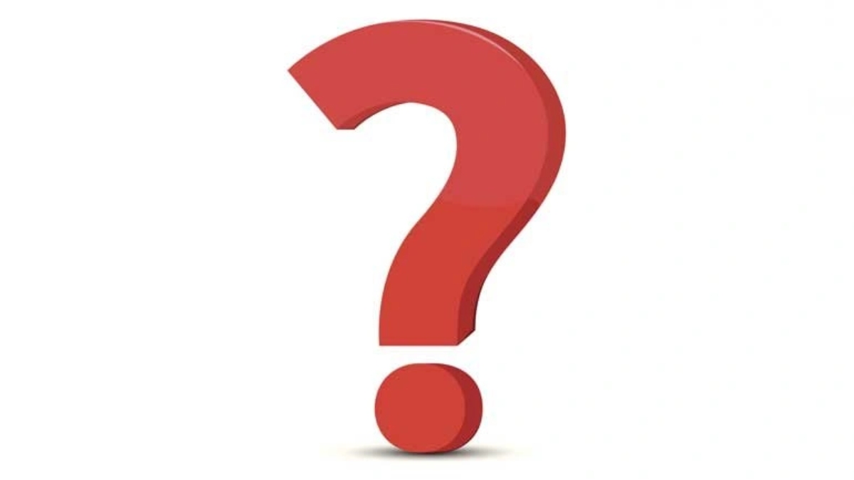 Idm nedir? Nasıl kullanılır?