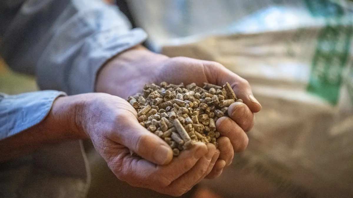 Dev odun üreticisi ürünleri değil kendi başını yaktı! Borç kapıya dayandı iflas bayrağı kalktı