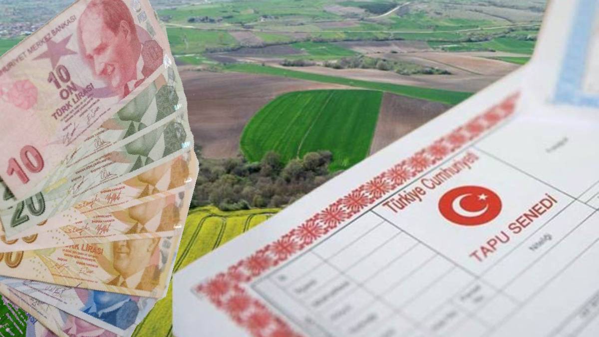 Toprak sahiplerine ek gelir kapısı açılıyor! Bu kişiler tek tek maaşa bağlanacak: Mirastan kalan arsası, tarlası olanlar dikkat