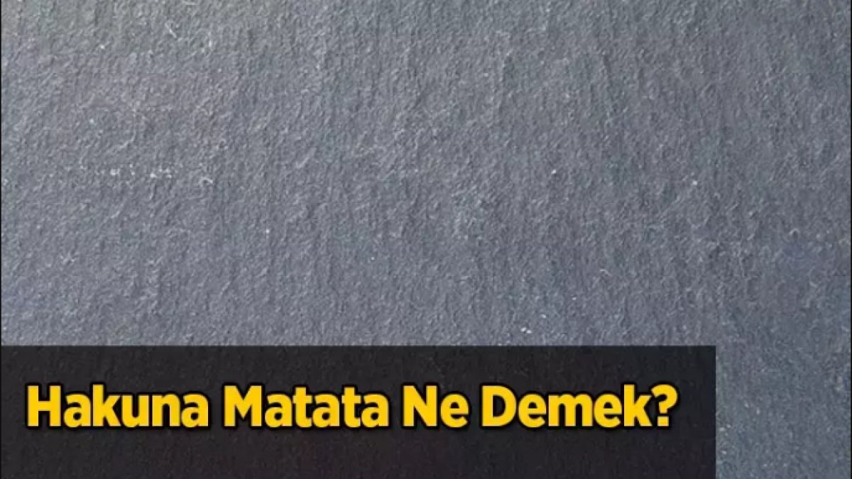 Hakuna Matata: Hayatı Stresiz Yaşamanın Sırrı