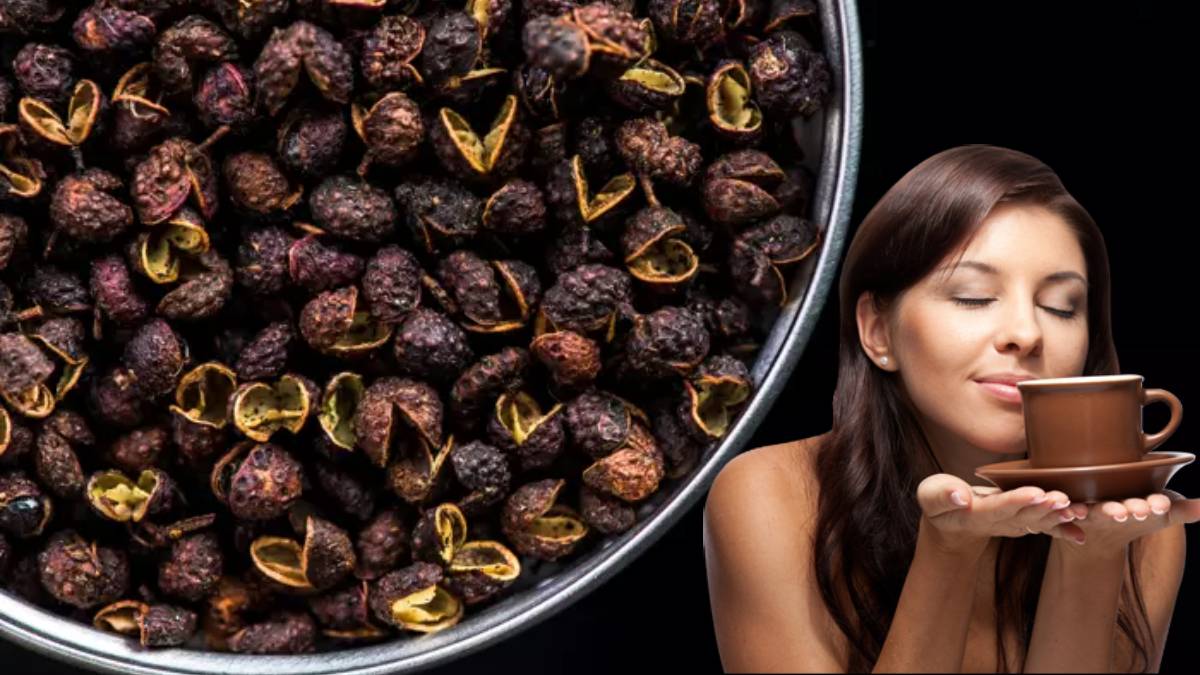 Kaynatıp içen Albert Einstein gibi oluyor! Zekayı güçlendiriyor, hafızayı ikiye katlıyor: O bitkinin çayı şifa dağıtıyor