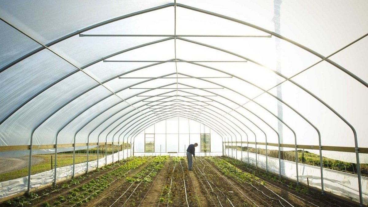 KOSGEB seralara destek veriyor mu?