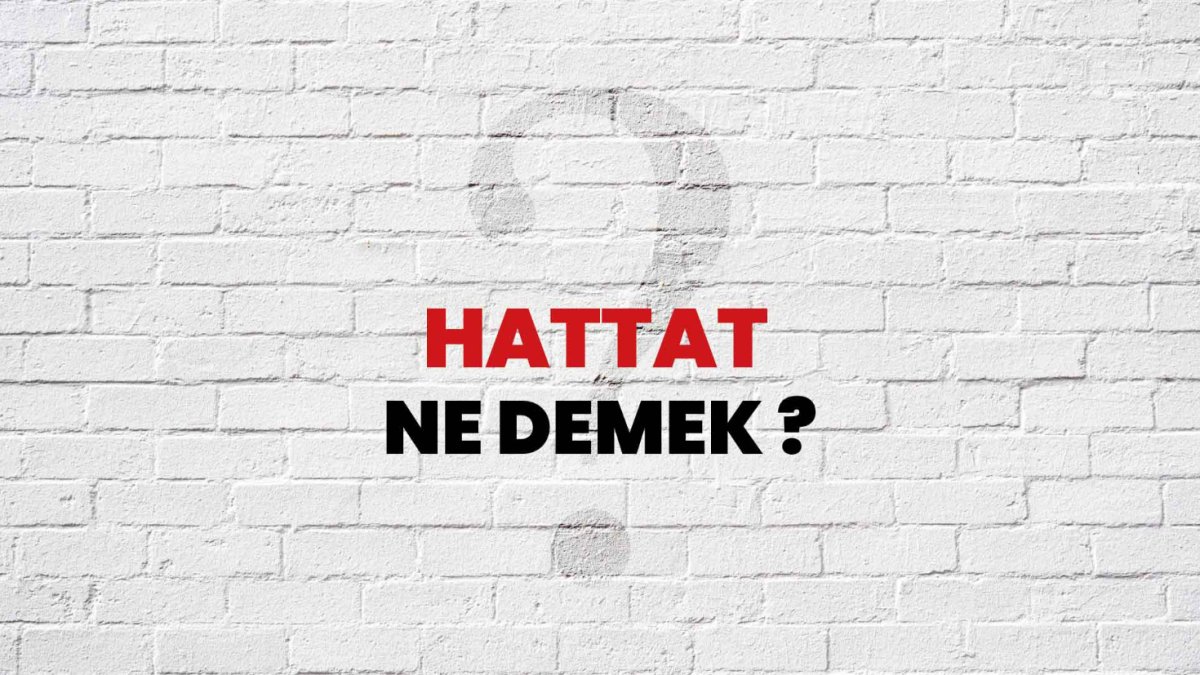 Hattat Nedir?
