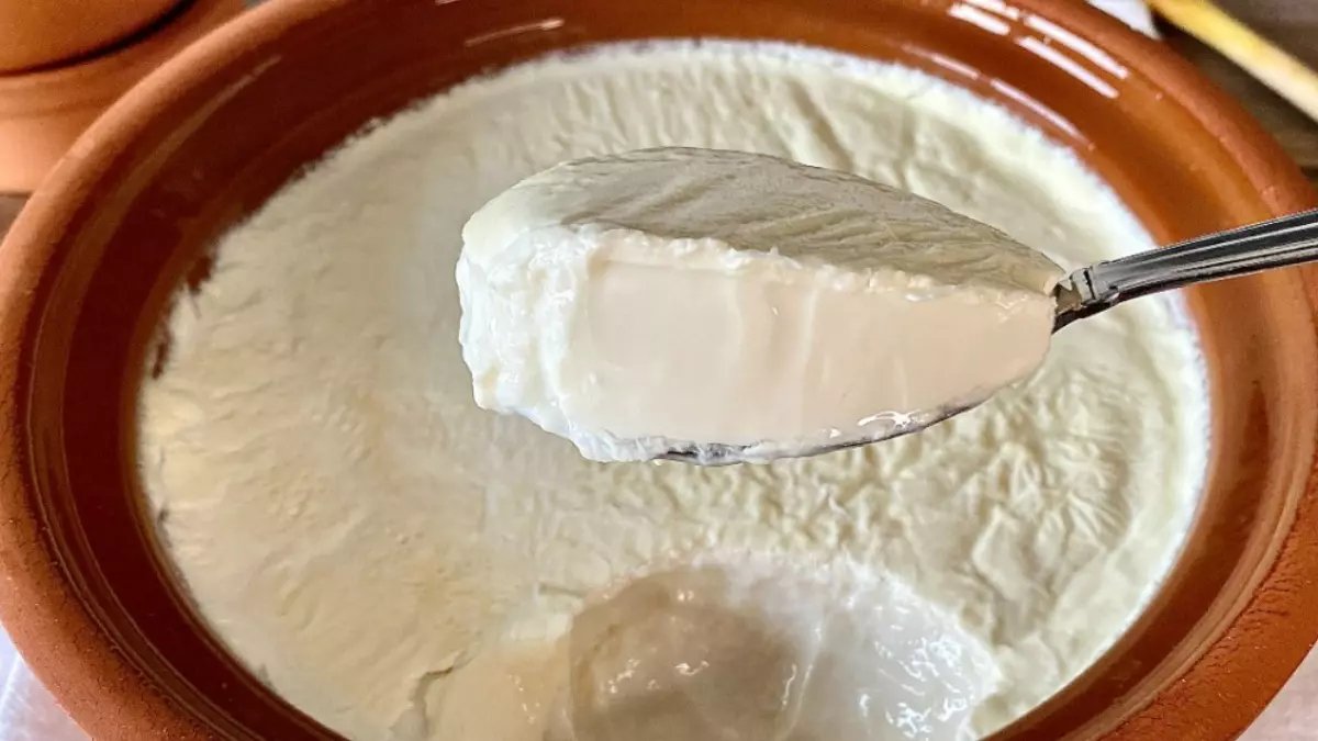 Eğer yoğurdunuz küfleniyorsa çözümü çok basit! Bu yöntem sayesinde yoğurdunuz küflenmeyecek