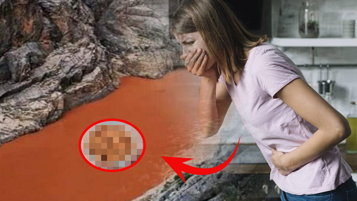 Sağlıklı diye biliyorduk ama içi siyanür doluymuş! Fazla tüketilirse canınızdan bile edebilir, bu besini yemeden önce düşünün