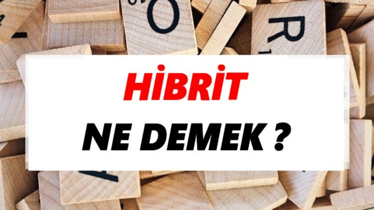 Hibrit Ne Demek?