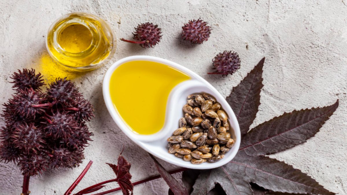 Hint Yağı: Doğanın Şifalı Yağı