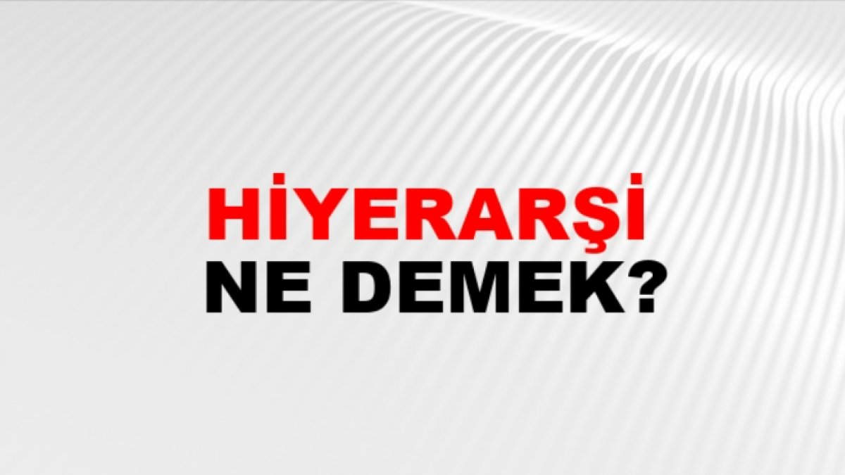 Hiyerarşi: İşleyişi ve Önemi
