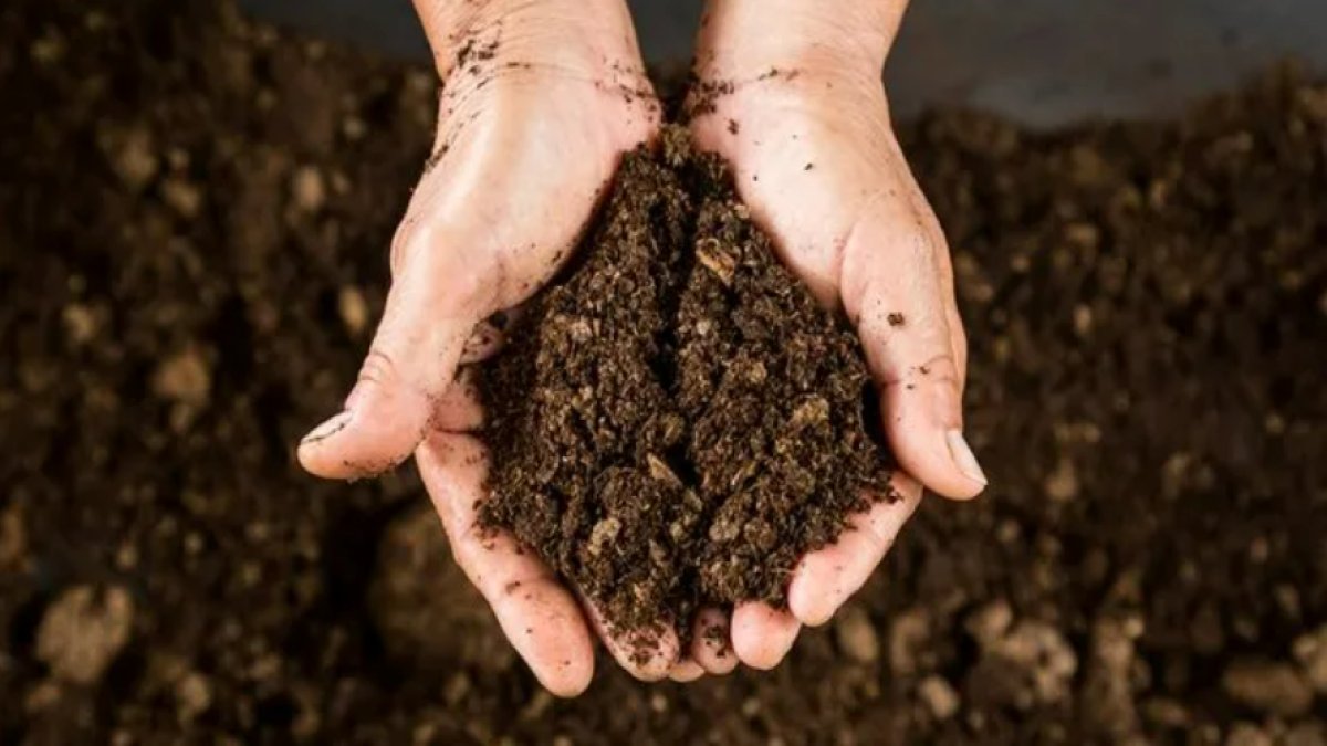 Humuslu Toprak: Tarımda Önemi ve Faydaları