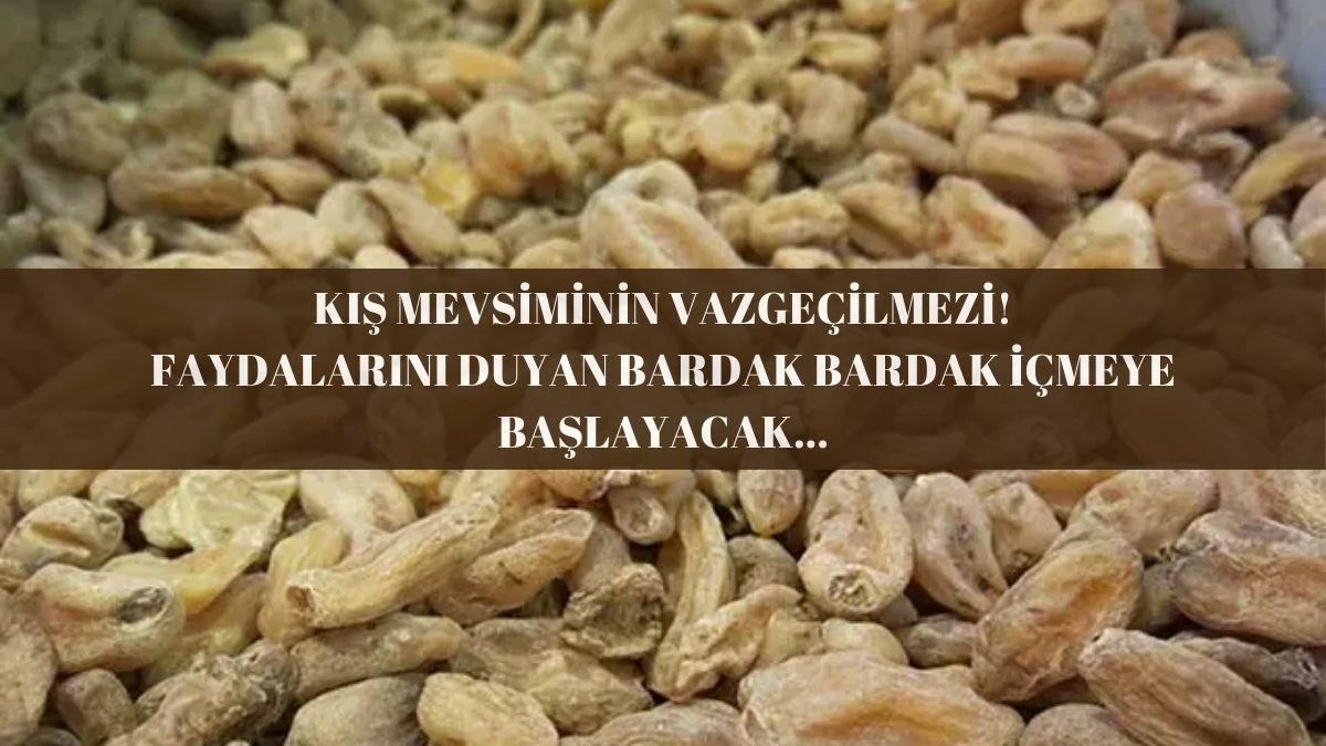 Herkes ona beyaz altın diyor! Her yudumunda kalsiyum ve protein saçıyor: Kışın bardak bardak bunu içen enerji depoluyor…