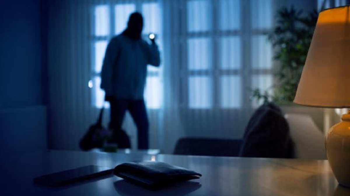 Evdeki tehlikeyi duyan bir daha tövbe diyor! Gizli casuslar her daim iş başında! Siz gizli zannedin onlar gözetlesin