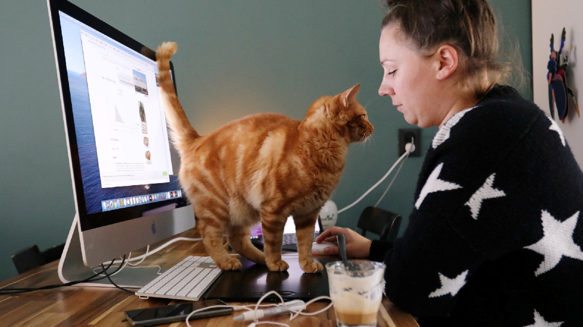 Esnek çalışma, sandığınız gibi bir nimet mi, yoksa tuzak mı? Modern iş hayatı, beyaz yakalıları tükenmişliğe sürüklüyor