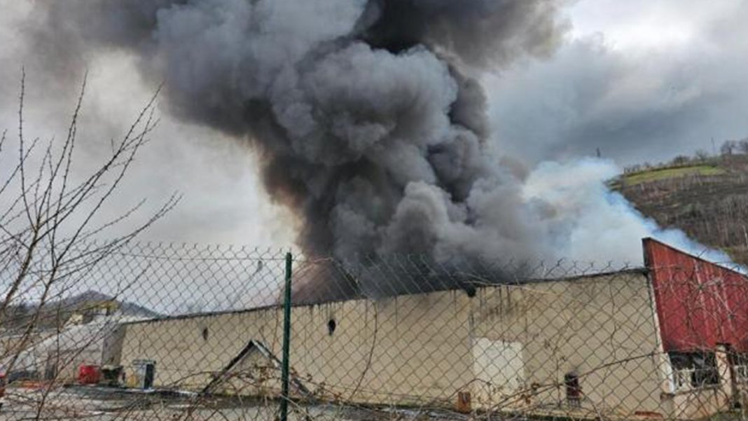 Fransa'da pil geri dönüşüm tesisinde yangın çıktı