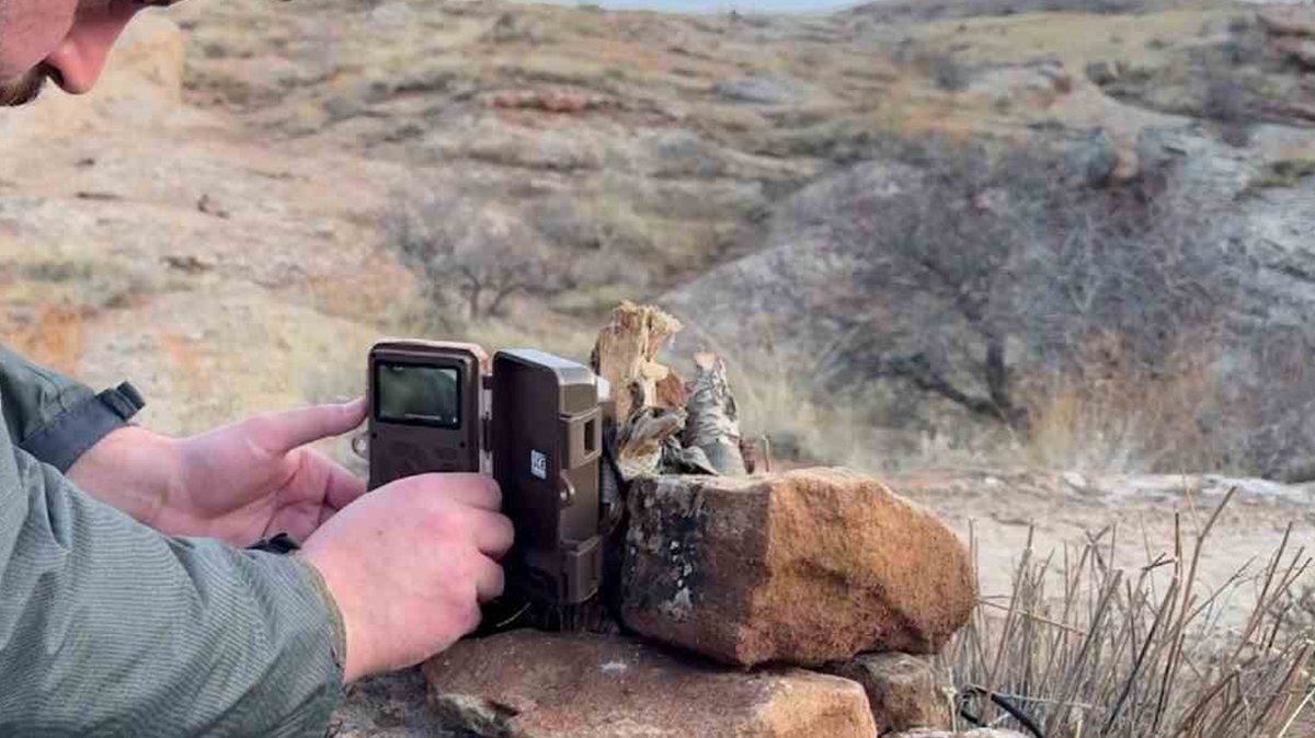 'Canavar' diyorlar! O ilde görüldü
