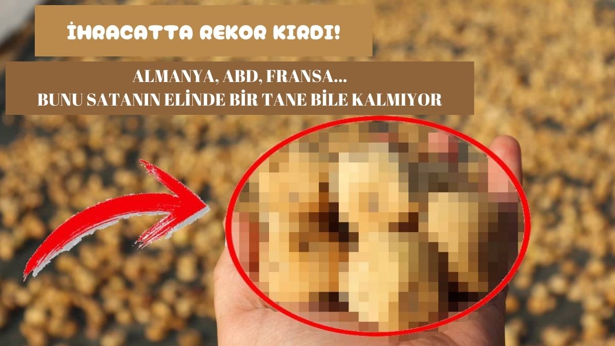 Bunu satanın elinde kalmıyor! Ne pamuk ne de zeytin... Amerika'ya rekor satış: Almanya ve Fransa'ya ihracat rekoru kırdı