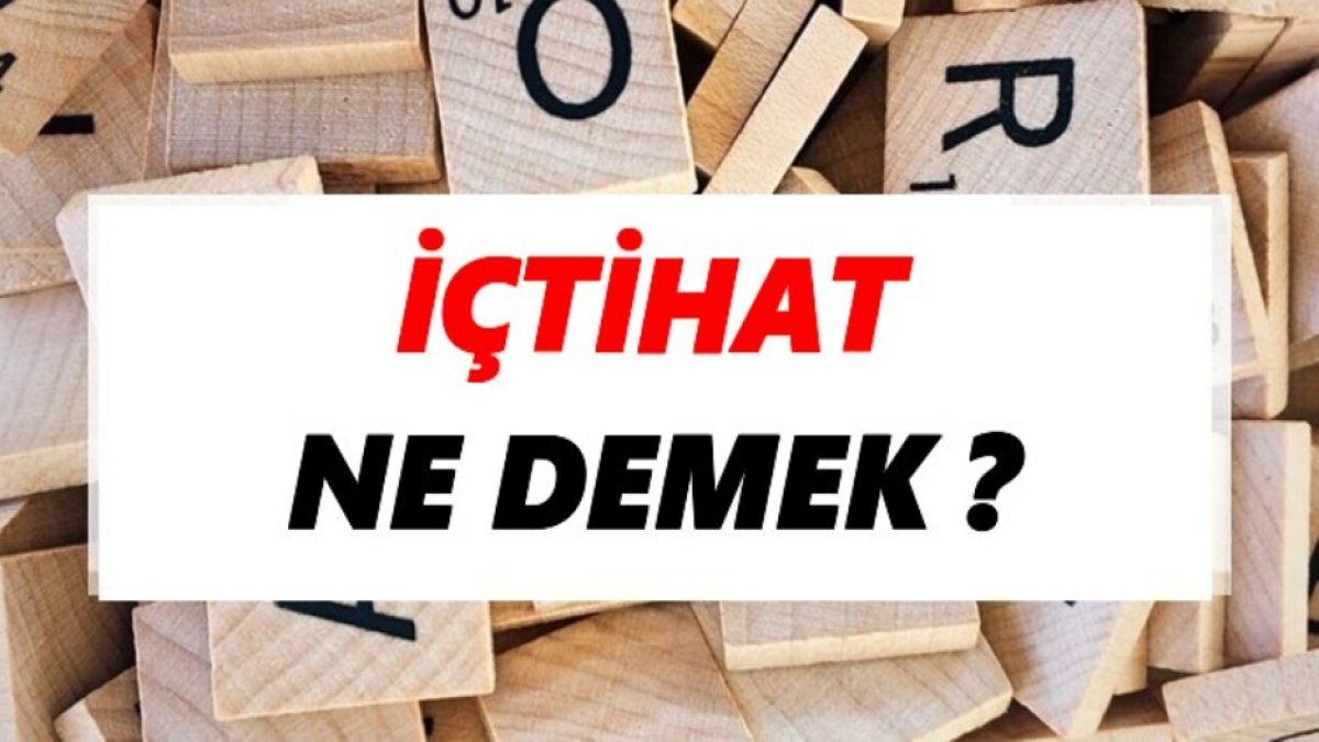 İçtihat Ne Demek?