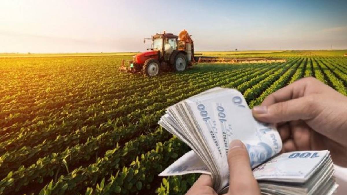 Çiftçilere Şubat ortası ödemesi! O belediye açıkladı: Tohum desteği müjdesi geldi!