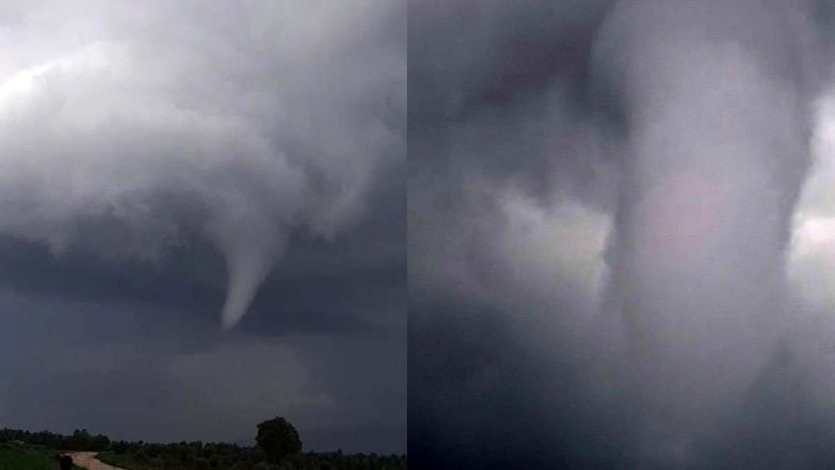 Hatay'da korkutan hortum: Zeytin ağaçlarını yerinden söktü