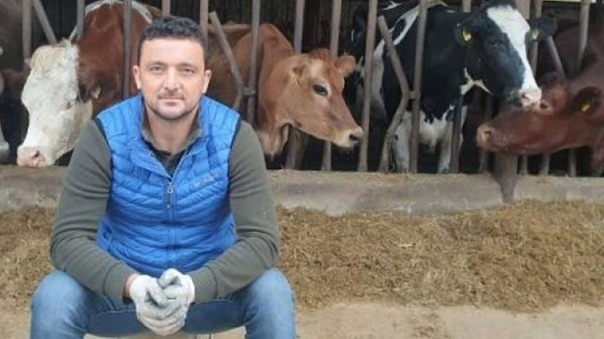 Mahkemeden tepki çeken karar: Sokak köpeğini öldürüp sosyal medyada paylaşan sanığa ceza yok