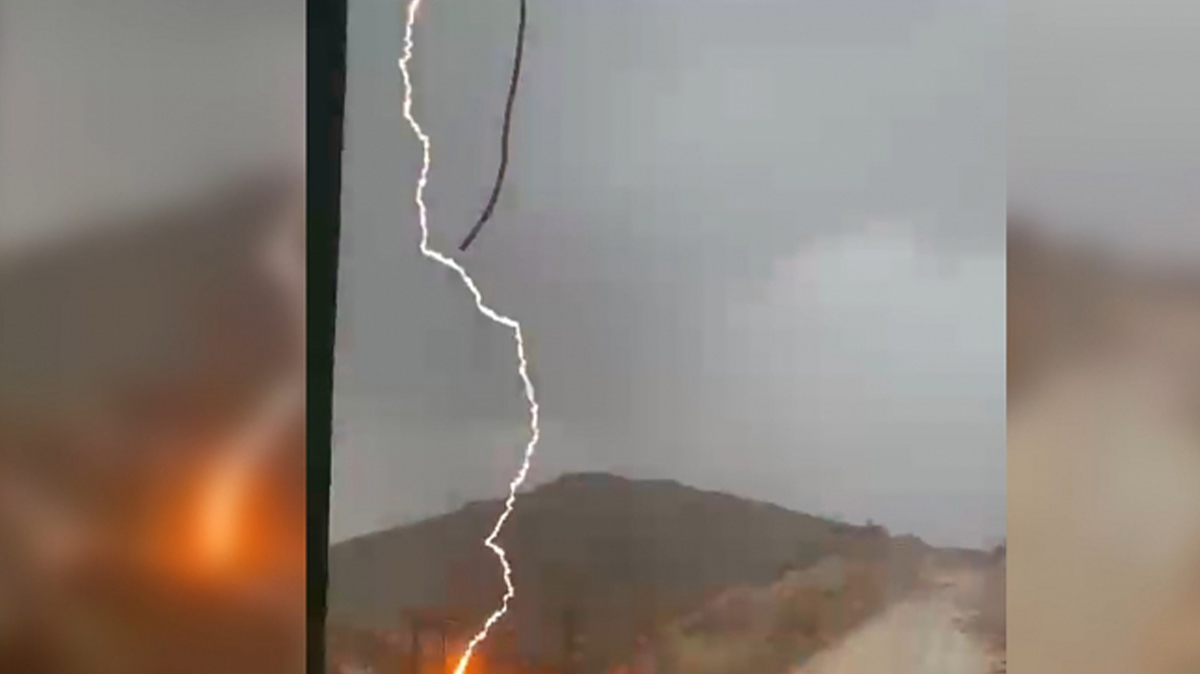 Şanlıurfa'da korkutan görüntü