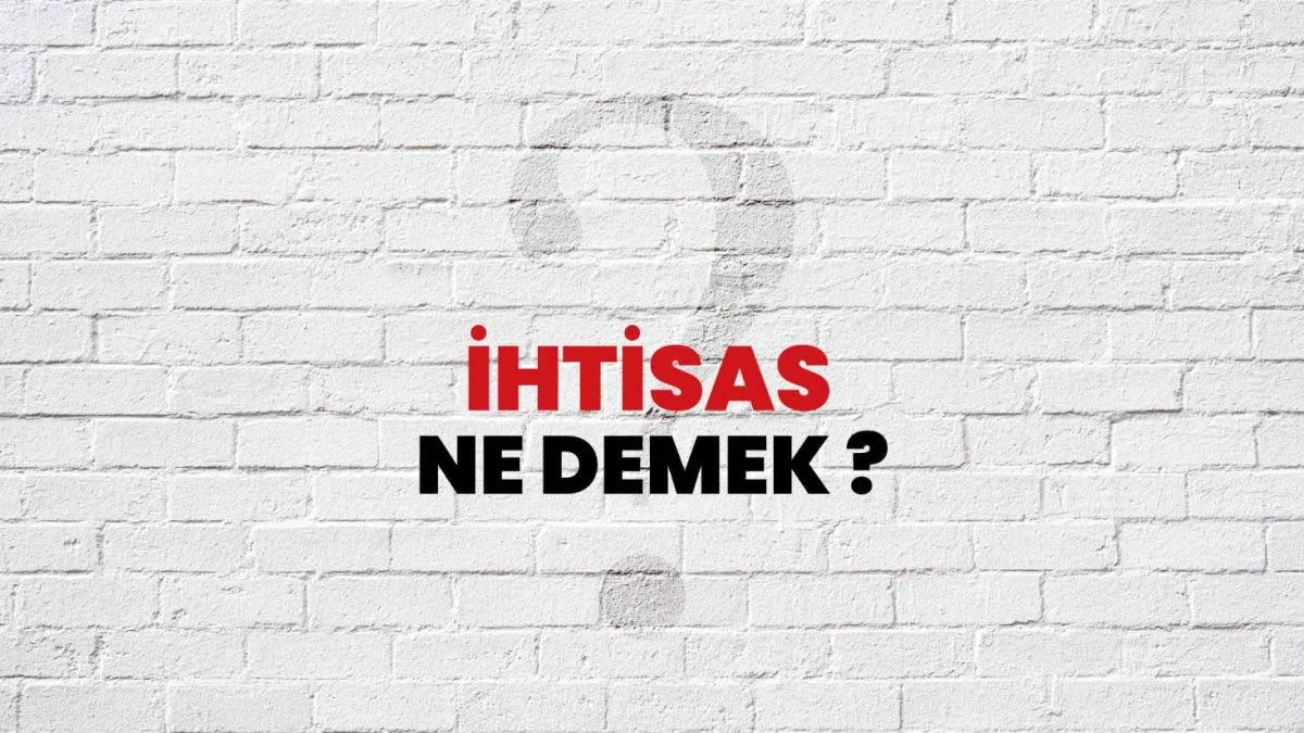 İhtisas Ne Demek?