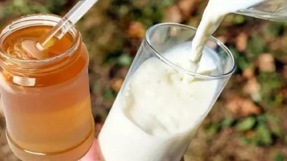 Sütün içine bal atanlar sakın bunu yapmayın! Yıllarca faydalı diye lıkır lıkır içmişiz: O hata tüm faydasını götürüyor