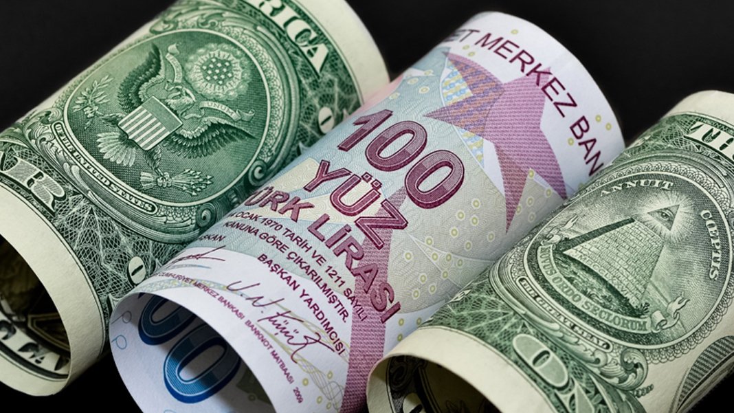 Vatandaş yönünü dövize çevirdi: Üç madde talebi artırdı