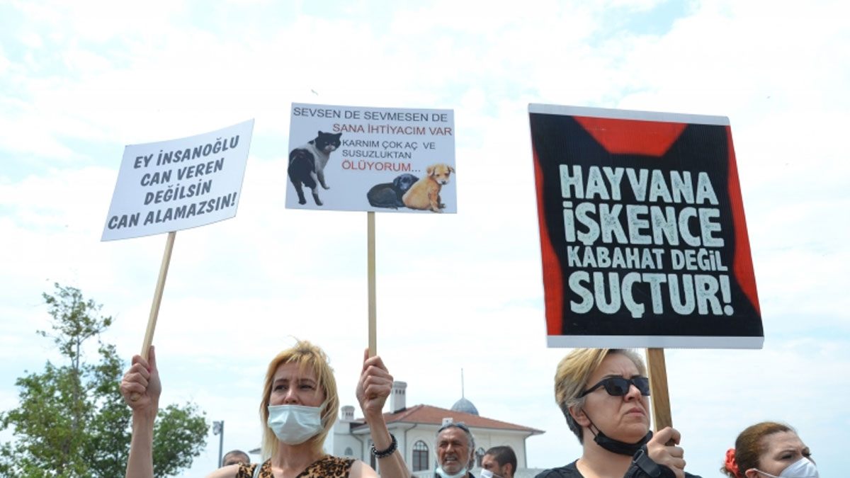 Kedilere kezzap atan Murat Özdemir'in 7 yıla kadar hapsi istendi