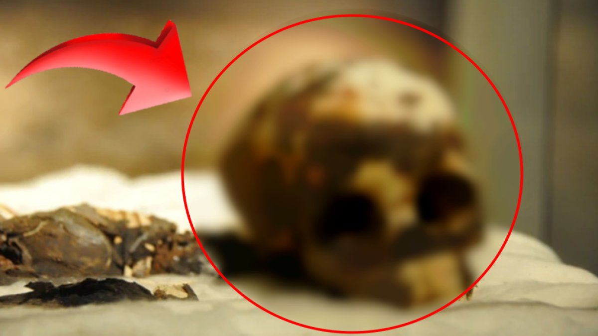 Kazı yaparken toprağın dibinde bohça buldu, bohçayı açtı, yaprağa sarılı haldeydi, yaprağı aralayınca gördüklerine inanamadı