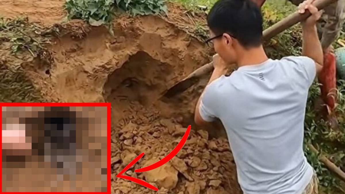 Dedektörlerle tespit edip çuval çuval götürdüler! Herkes bu görüntüleri konuşuyor: Çukurun içinden yüzlercesi çıktı…