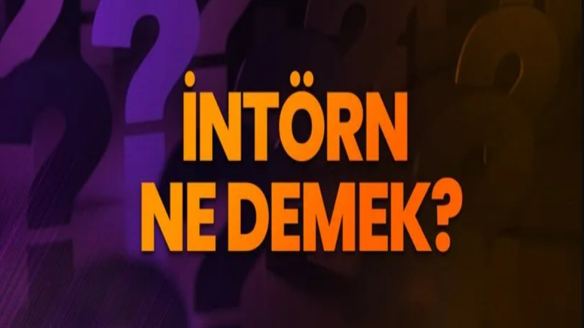 İntörn Ne Demek?