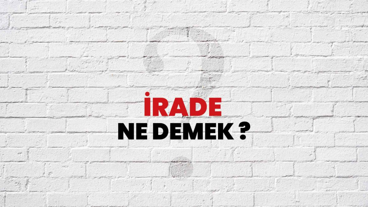 İrade Ne Demek?