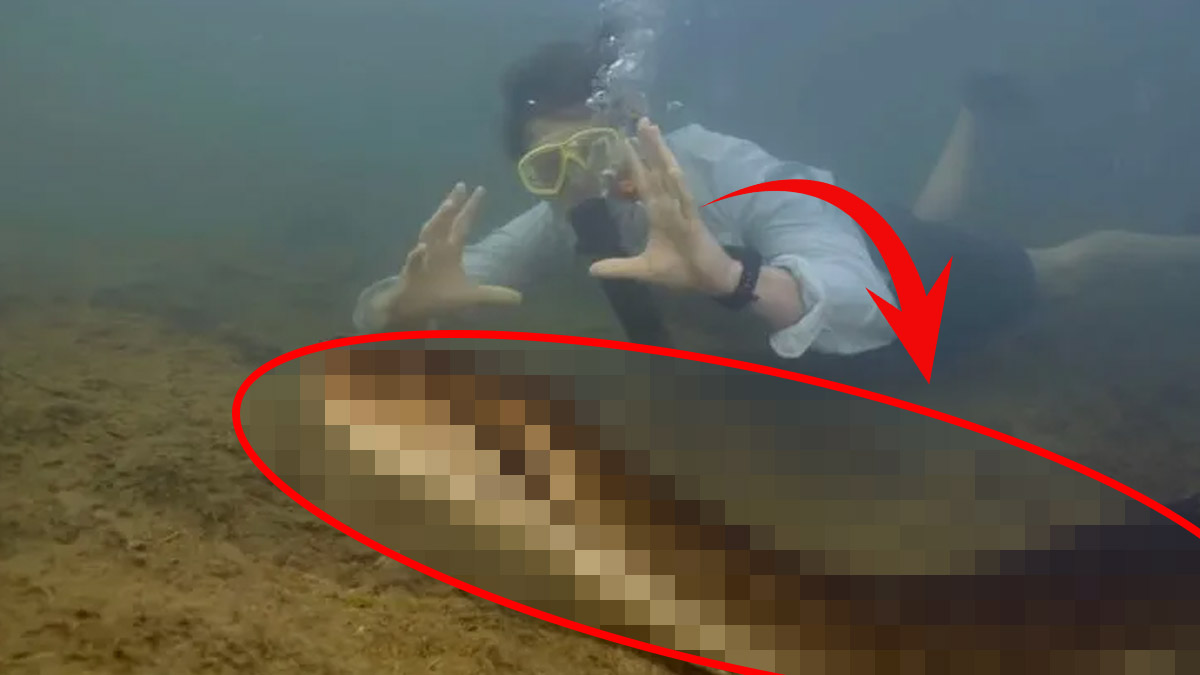 Dünyanın en büyük yılanı yeni keşfedildi! Boyunu gören kaçacak yer arıyor: Bu anakonda aslanı bile çiğnemeden yer!