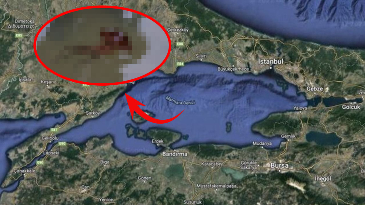 Marmara'daki o görüntü hiç iyiye işaret değil! Dalgıçlar denizin dibinde yuvalarını buldu: Böyle giderse her yanı saracaklar