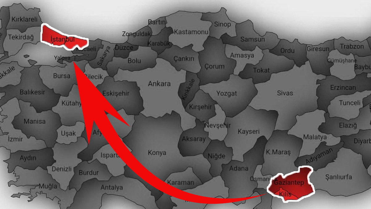 Kapınızı sıkı sıkı kilitleyin! Sessiz istila Gaziantep ve Kilis'ten sonra İstanbul'a sıçradı