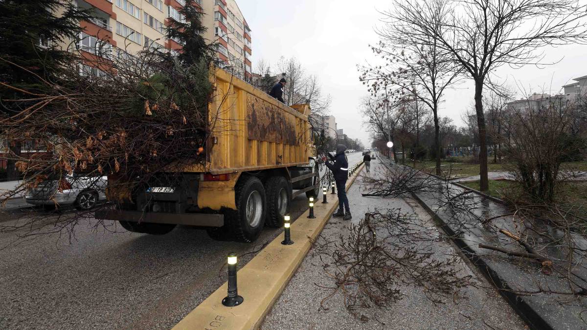 Bahar en güzel Yenimahalle’de karşılanır