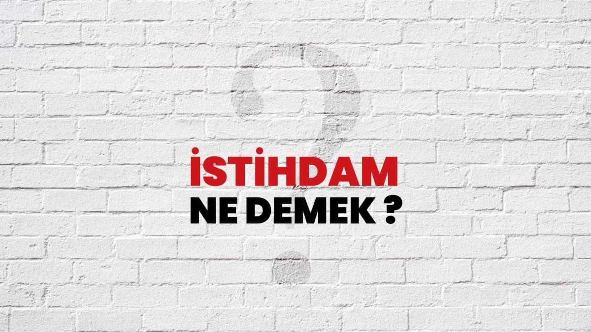 İstihdam Ne Demek?