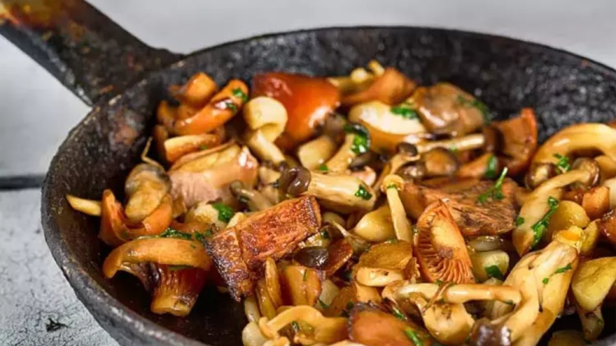 İstiridye Mantarı Nasıl Yapılır?