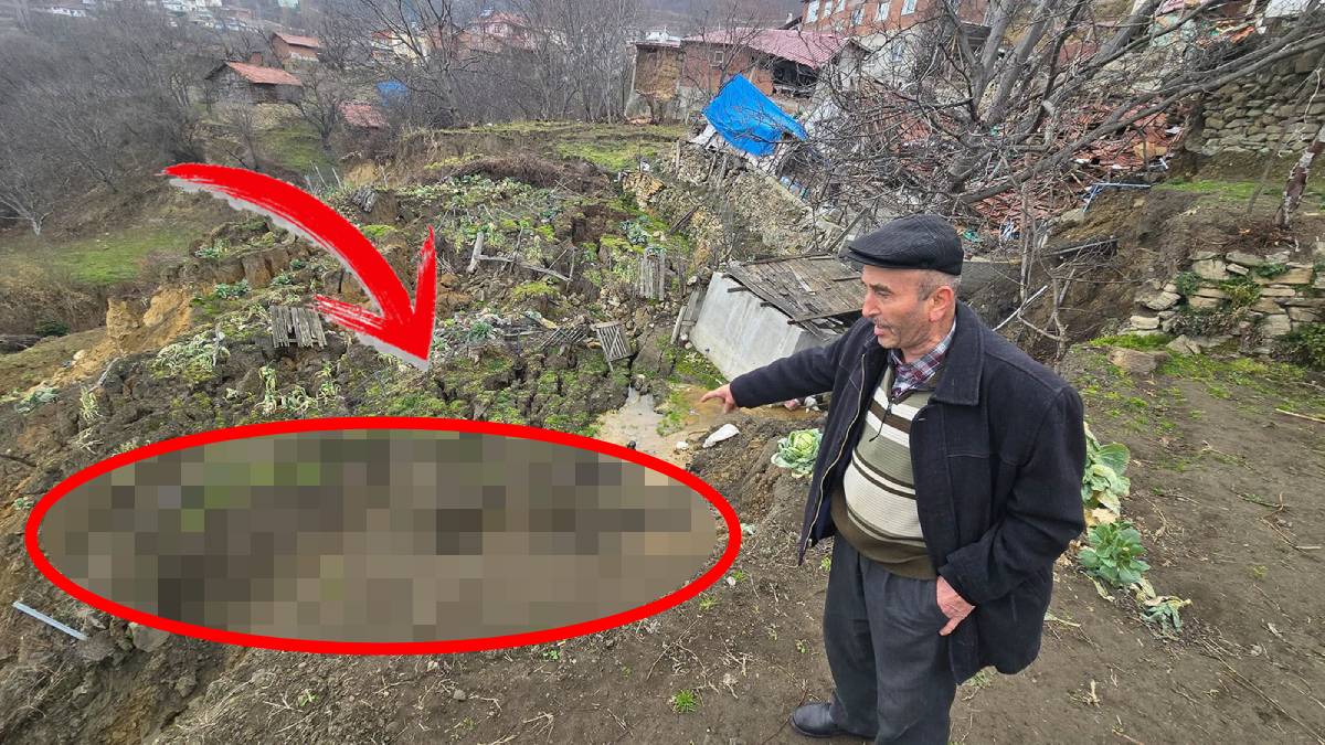 Heyelan sonrası yerin altından çıktı! Arazisine giden vatandaş hemen yetkilileri aradı: Bir bacak kalınlığında…