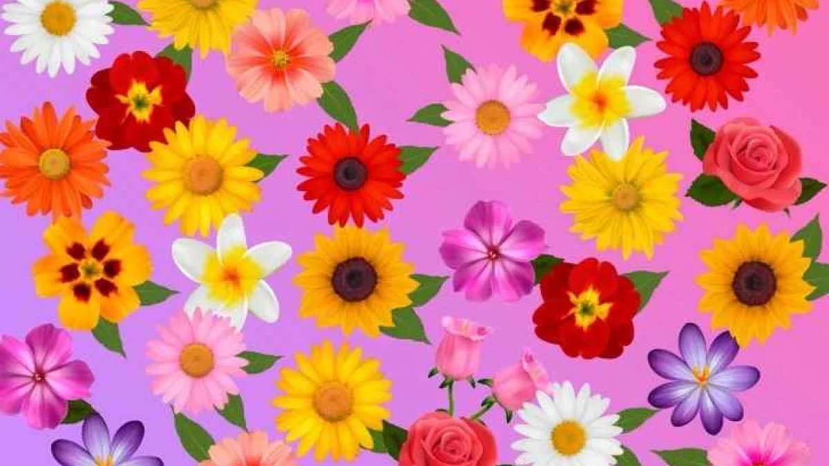 Şahin gözlüler buraya! Farklı çiçeği bulanlar zirvede: 3 saniyede farklı çiçeği bulabilecek misiniz?