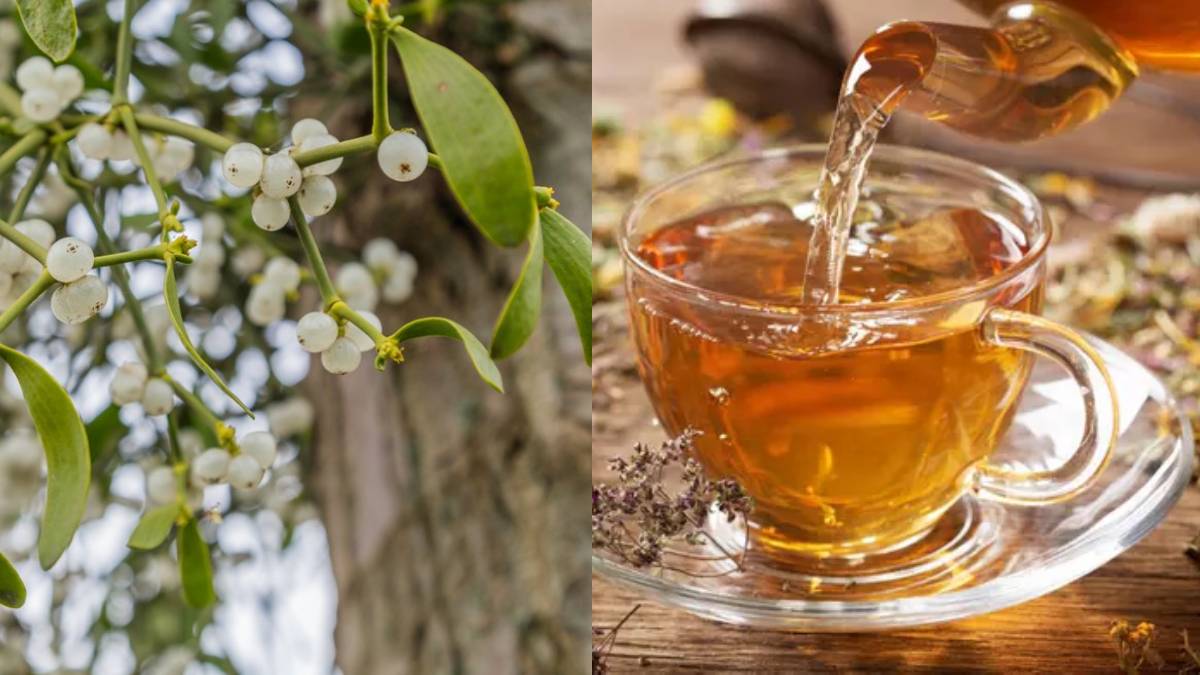 Bu otu tüketenin tansiyonu 12.8’e sabitleniyor! Etkisi sarımsağı solda bırakır: Tuzlu gıdalar bile tansiyonu yükseltmiyor