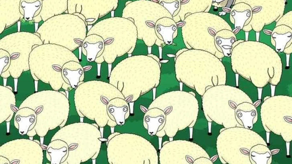 En zorlayıcı optik illüzyon testi! Kuzu kostümlü kurdu 7 saniyede bulan Elf genine sahip: Elf gözlerin neler görüyor?