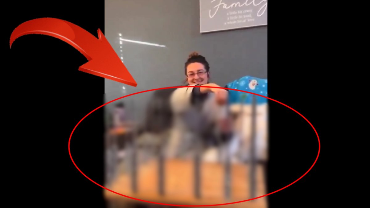 Böyle hediye olmaz olsun dedirtti! Paketini açması 6 saat sürüyor: Sıra dışı hediye