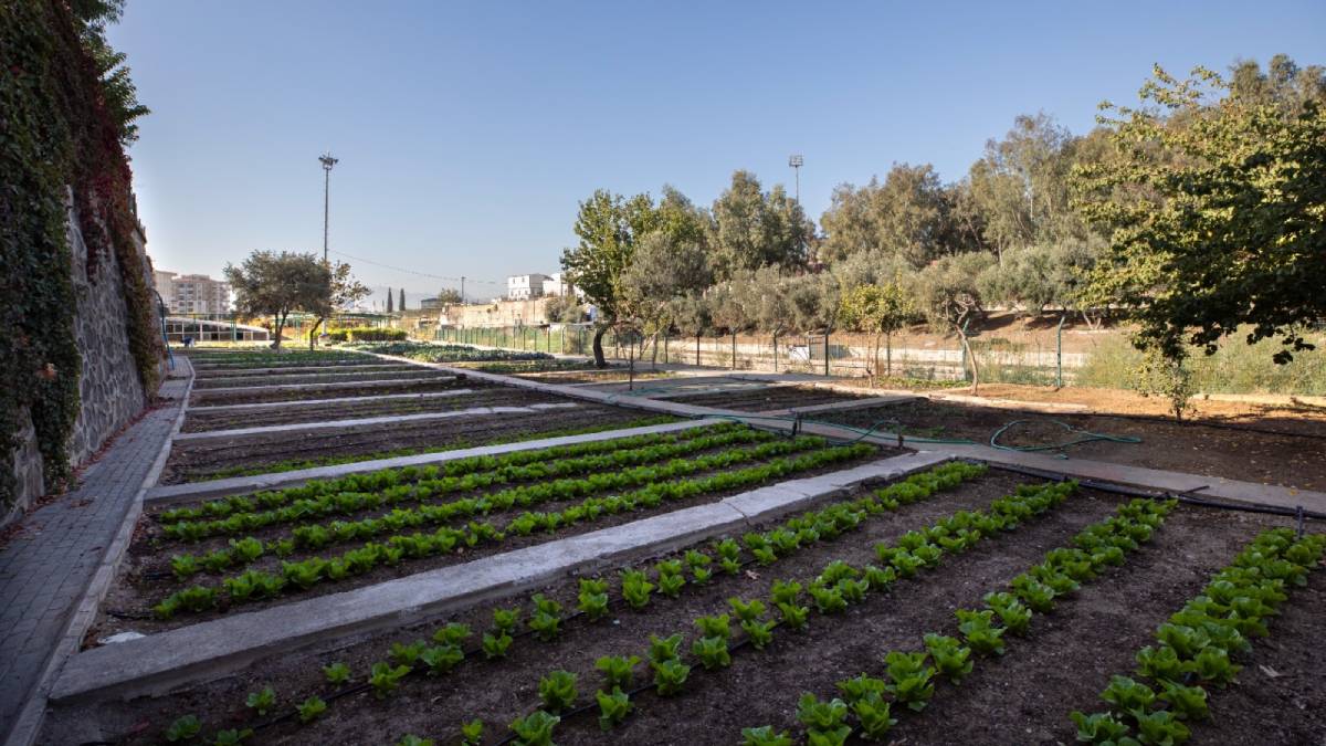 Karşıyaka’da bostanlar artıyor, kentsel tarım güçleniyor