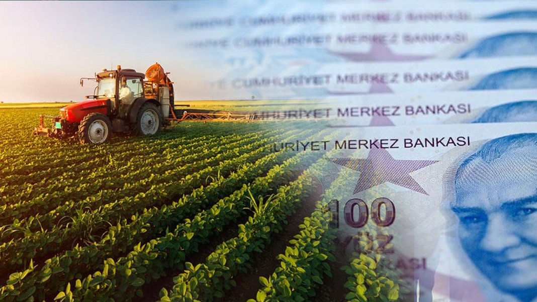 Uzmanlardan 'tarım çöküyor' uyarısı: Borç 700 milyar