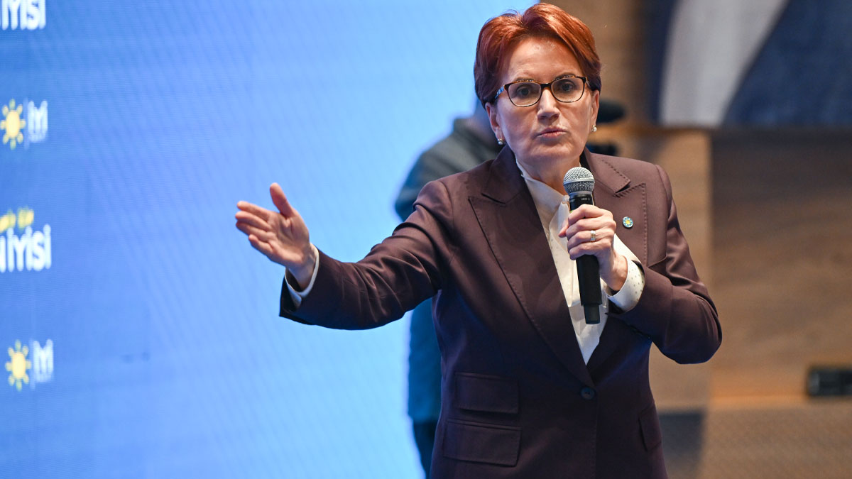 Akşener 'ittifak sistemi'ni hedef aldı: Dayatma düzenine 'hayır' diyoruz