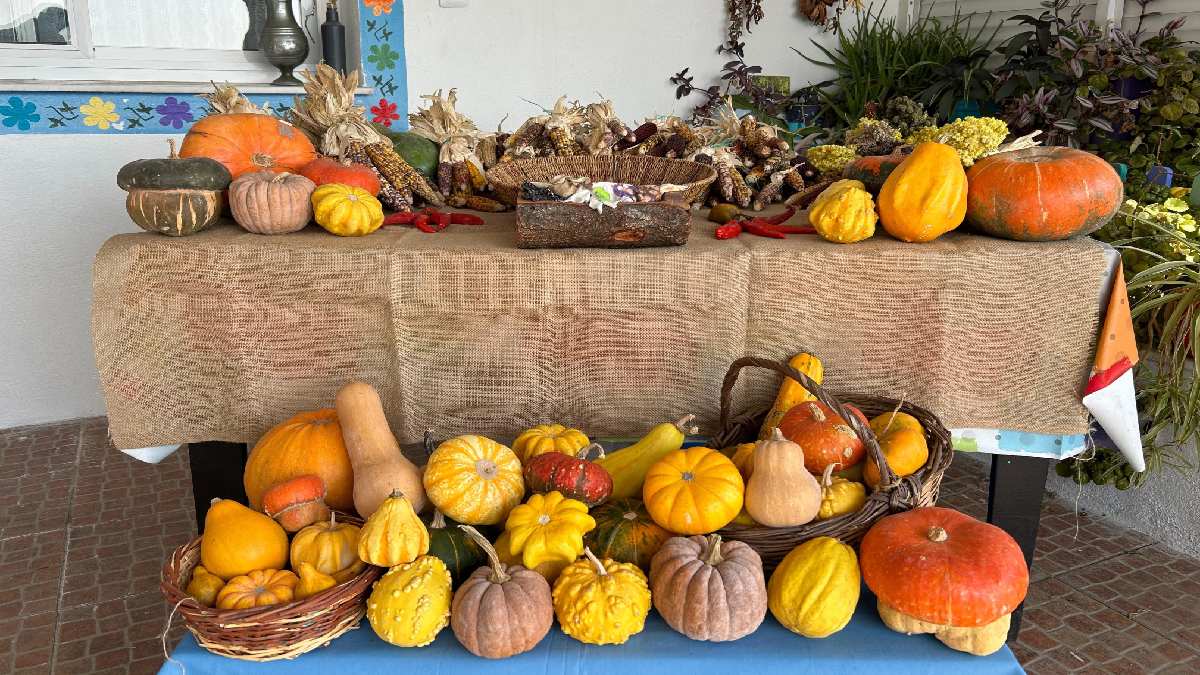 Evinin bir odasında hazine saklıyor, 81 ildeki herkese ücretsiz dağıtım yapılıyor! Bu ürünlere paha biçilemiyor