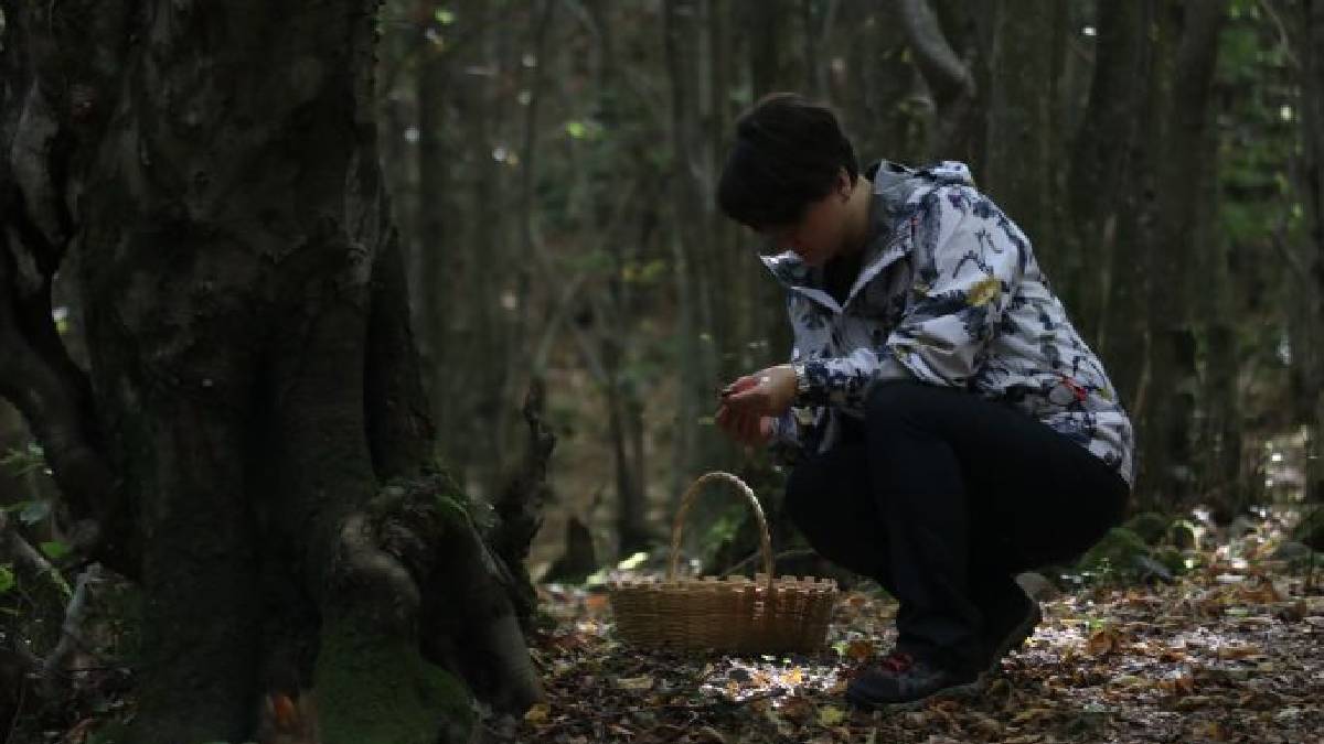 Dağda çayırda yetişen bu otun faydaları saymakla bitmiyor! Yemeği de bir o kadar lezzetli