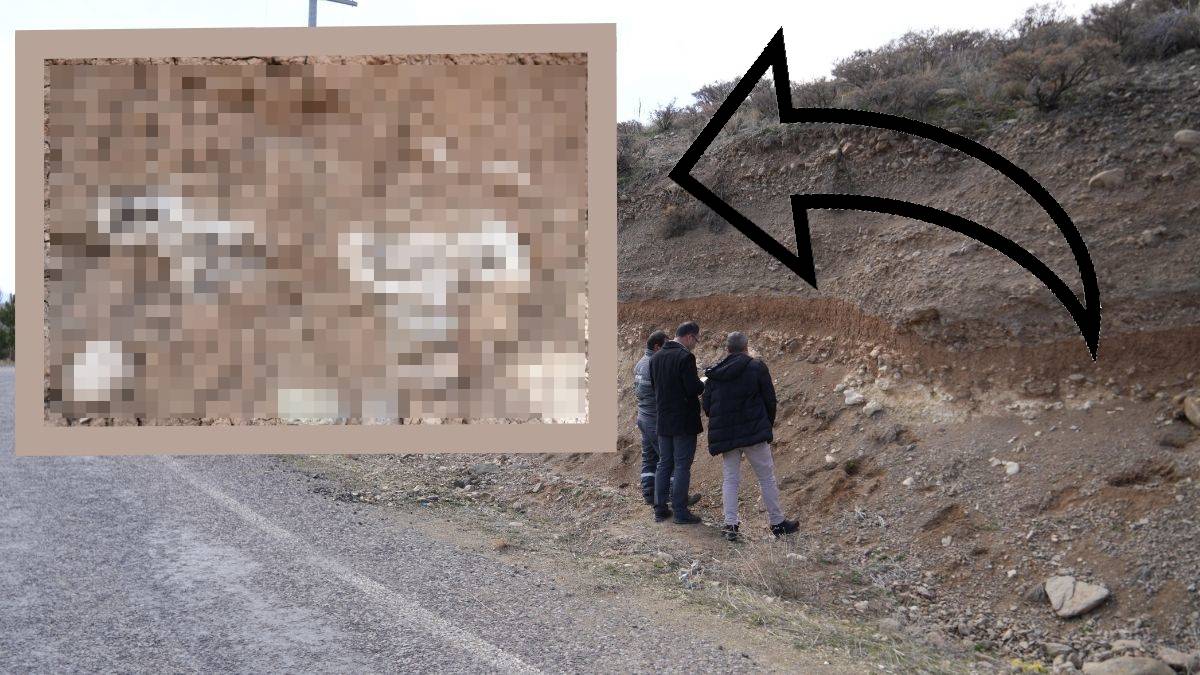 Vatandaşlar Niğde'de 20 metrelik dev buldu! Hemen devlet yetkililerini ardılar: Bakın 20 metrelik dev ne çıktı