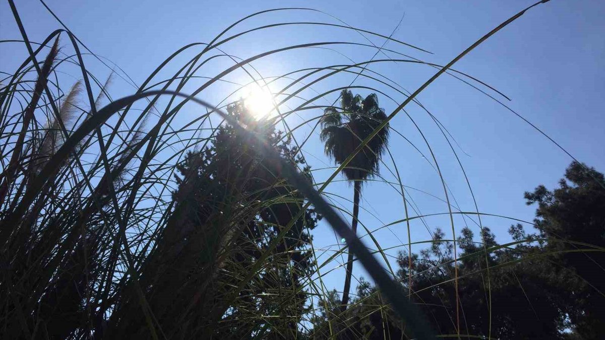 Adana'da şubat ayında yaz havası: Termometreler 23 dereceyi gösterdi